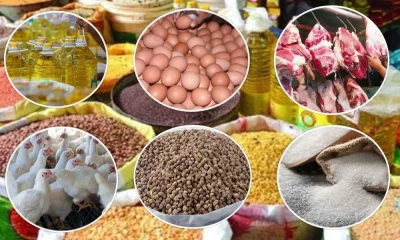 নিত্যপণ্য