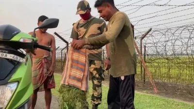 ভারত-বাংলাদেশ সীমান্তের ভারতীয় অংশে তল্লাশি - প্রতীকী ছবি