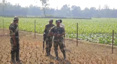 সীমান্তে কাঁটাতারের বেড়া নির্মাণ