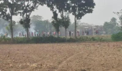 সাম্প্রতিক ছবি