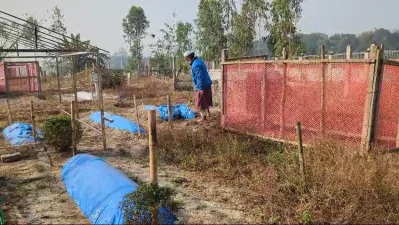 ছবি: ইত্তেফাক 