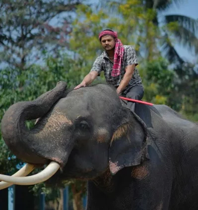 &lsquo;নিহারকলি&rsquo; নাটকের দৃশ্যে নিলয় আলমগীর। ছবি: সংগৃহীত