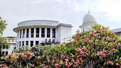 হাইকোর্ট