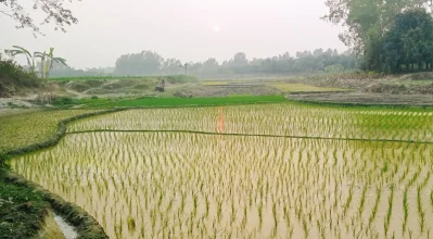 ছবি: ইত্তেফাক