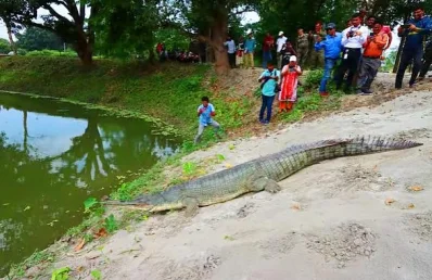 ছবি: ইত্তেফাক 