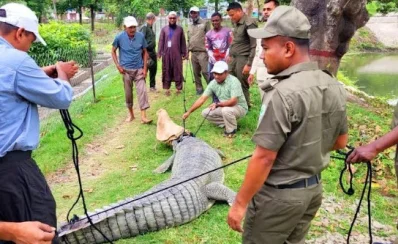 ছবি: ইত্তেফাক 