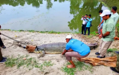 ছবি: ইত্তেফাক 