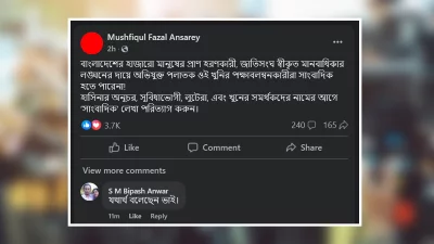 মুশফিকুল ফজল আনসারী ফেসবুক আইডিতে দেওয়া পোস্টের স্ক্রিনশট। ছবি: ফেসবুক থেকে নেওয়া
