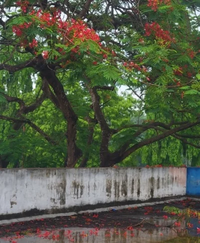 ছবি: ইত্তেফাক 