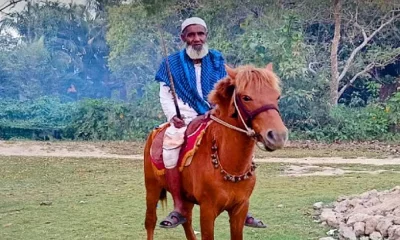 প্রিয় ঘোড়ার পিঠে মনু মিয়া। ছবি: সংগৃহীত