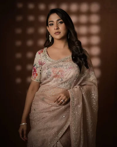 মেহজাবীন চৌধুরী। ছবি: সংগৃহীত
