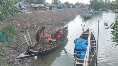 জোয়ারের পানিতে ভসে আসা পাতা কুড়াচ্ছেন পশ্চিম কৈখালীর কয়েক নারী-পুরুষ। ছবি: ইত্তেফাক