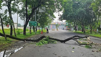 ঢাকা-খুলনা মহাসড়কে গোপালগঞ্জ চক্ষু হাসপাতালের সামনে বৃহস্পতিবার সকালে গাছ কেটে ফেলে রাখা হয়েছে। ছবি: সংগৃহীত