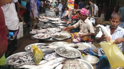 সিরাজগঞ্জের বিভিন্ন বাজারে বেচাবিক্রির ধুম পড়েছে। ছবি: ইত্তেফাক