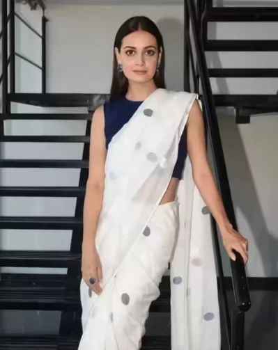 দিয়া মির্জা। ছবি: সংগৃহীত