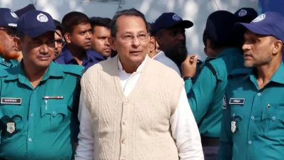 হাসানুল হক ইনু