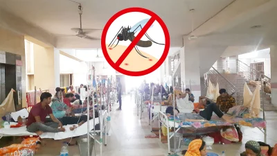 ডেঙ্গু