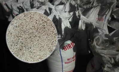 পপি বীজ