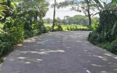 মতলব-গৌরীপুর সড়কের ঘীলাতলী এলাকায় ঝুঁকিপূর্ণ বাঁক। ছবি: ইত্তেফাক