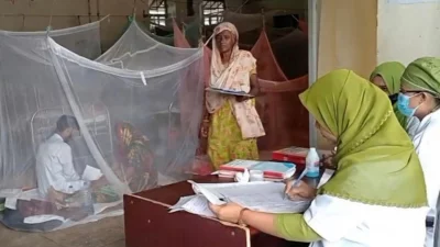 ডেঙ্গু