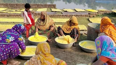 কুমড়ার বড়ি তৈরির কারিগরদের ব্যস্ততা বেড়েছে। ছবি: ইত্তেফাক