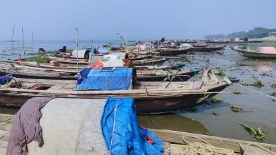 মতলব উত্তর (চাঁদপুর) উপজেলার মেঘনা নদীতে দুই মাসের অভয়াশ্রমের কারণে জেলে নৌকাগুলো নদীর পাড়ে বাধা। ছবি: ইত্তেফাক