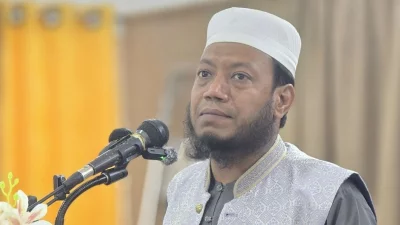 আমির হামজা