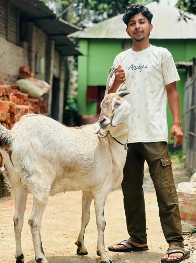 খাসিটির নাম &lsquo;সুলতান&rsquo;, এর মালিকের নামও সুলতান। তাই এটি পরিচিতি পেয়েছে &lsquo;সুলতানের সুলতান&rsquo; নামে