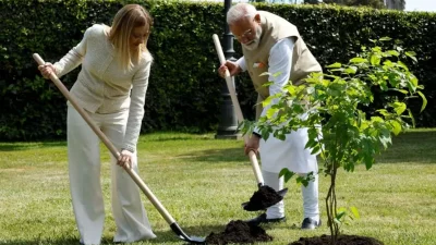 বৈঠকের শেষে বন্ধুত্বের প্রতীক হিসেবে ভিলার বাগানে মেলোনি ও মোদি একটি কালো তুঁতগাছ রোপণ করেন। 