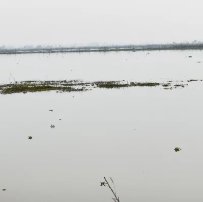 ছবিটি সম্প্রতি বিল কেদারিয়া থেকে তোলা। ছবি: ইত্তেফাক