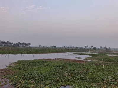 বিল বোকড় থেকে তোলা। ছবি: ইত্তেফাক