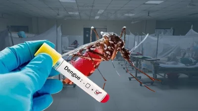 ডেঙ্গু