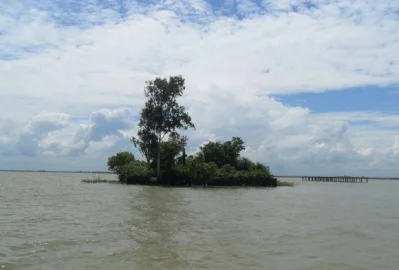 চলনবিল। ছবি: সংগৃহীত 