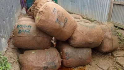 উদ্ধারকৃত ৯ বস্তা গাঁজা। ছবি: সংগৃহীত
