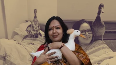 রুমিন ফারহানার হাঁস