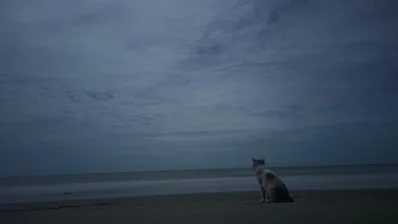 সেন্টমার্টিন দ্বীপ। ছবি: ইত্তেফাক