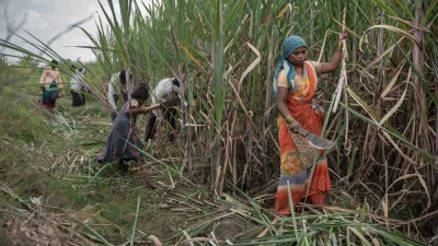 নারীদের ঋতুস্রাব, গর্ভাবস্থা এবং এমনকি গর্ভপাতের সময়েও কাজ চালিয়ে যেতে হয়। একদিন ছুটি নিলে এক দিনের মজুরি কাটা যায় এবং শ্রম ঠিকাদারকে অর্থ পরিশোধ করতে হয়। ছবি: ক্লোয়ি শারক/এমওয়াইওপি