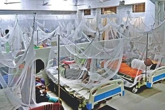 ডেঙ্গু