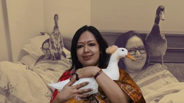 রুমিন ফারহানার হাঁস