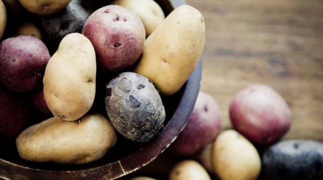 Britt Morgan bilan porno video