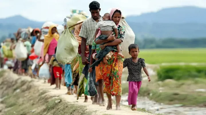 রোহিঙ্গা