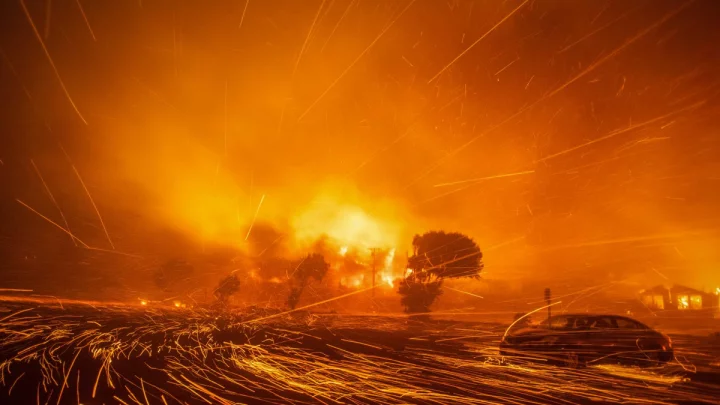 wildfire 2