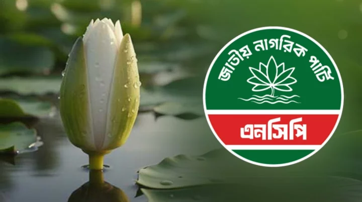 এনসিপি শাপলা কলি