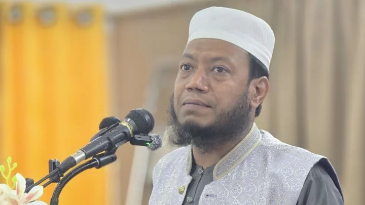 আমির হামজা