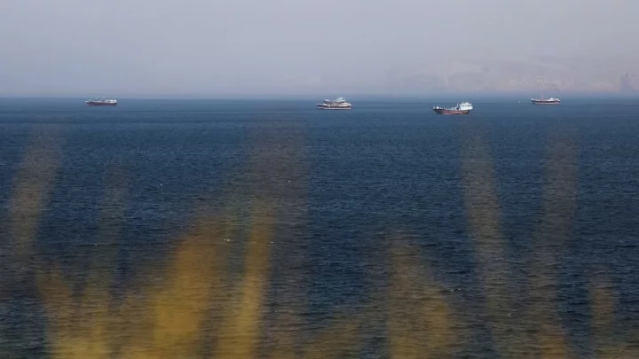 Thumbnail Toshif Hasan  (9)