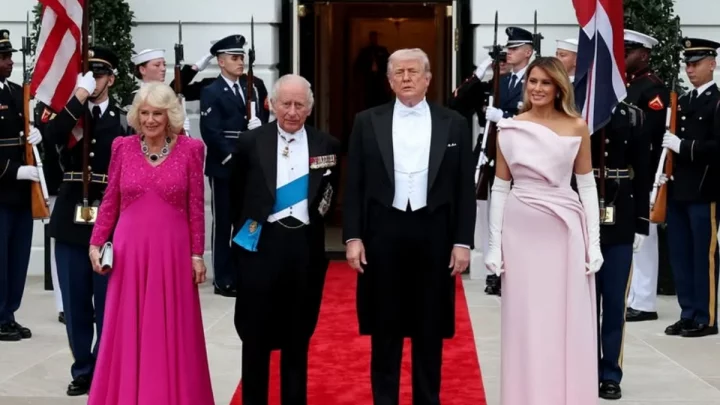 Thumbnail Toshif Hasan  (3)