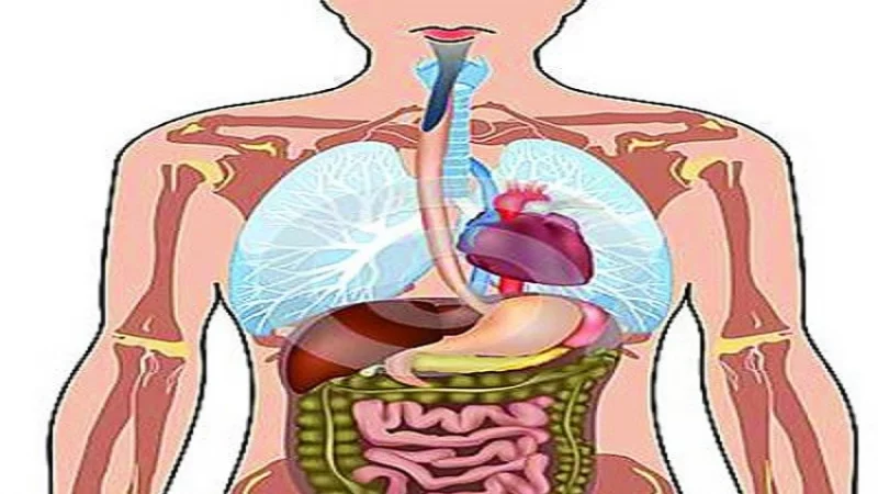 Katta etuk kokrakdagi sperma porno fotosurati Molly Cavalli video