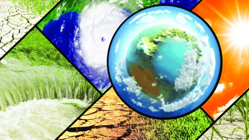 Stefani MakMaxon bilan jinsiy aloqa