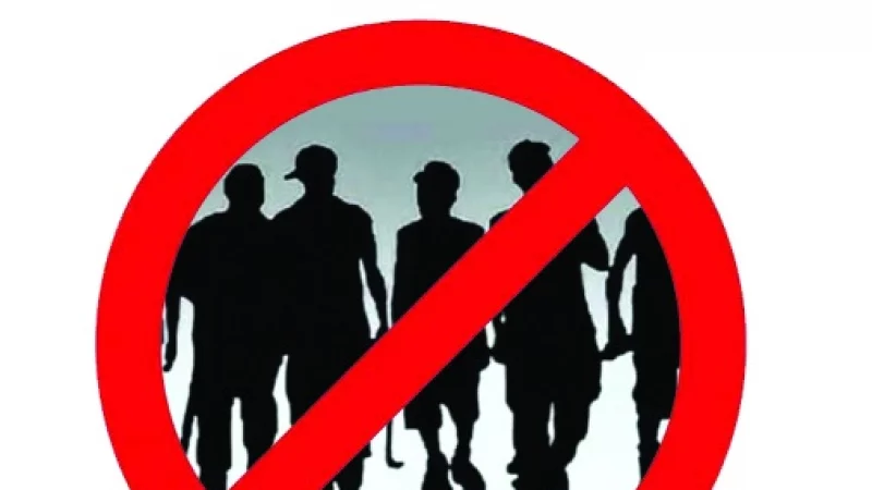 Noziklik, jinsiy aloqa va ehtiros video