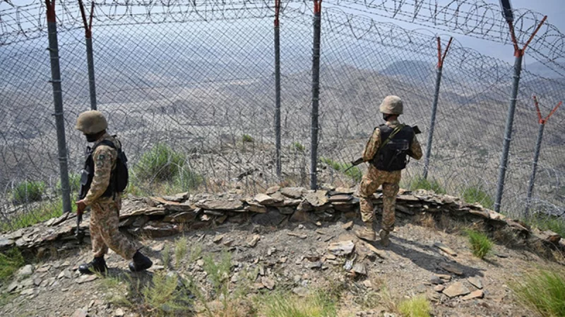 Xotin erini dugonasining mushukini yalashga majburlagan.